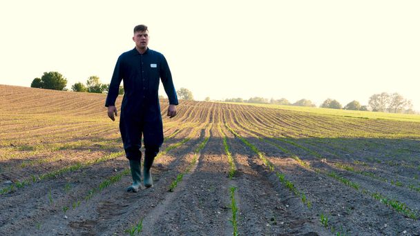 A young farmer in a blue robe walks the field looking at planted plants. Concept: clean air, bio, agriculture. - Photo, Image