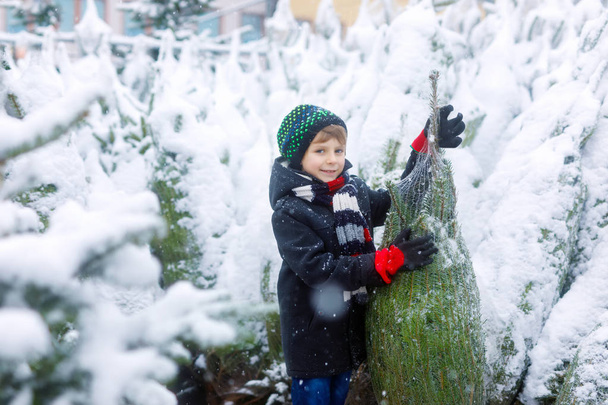 Забавный маленький улыбающийся мальчик с рождественской ёлкой. Счастливый ребенок в зимней модной одежде выбирает и покупает рождественскую елку в открытом магазине в снежный зимний день. Семья, традиции, праздник. - Фото, изображение