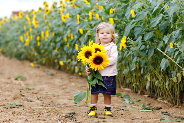 niedliche entzückende Kleinkind Mädchen auf Sonnenblumenfeld mit gelben Blumen. schönes Baby mit blonden Haaren. glücklich gesundes Töchterchen, lächelnd und Strauß haltend. Außenporträt über den Spätsommer - Foto, Bild