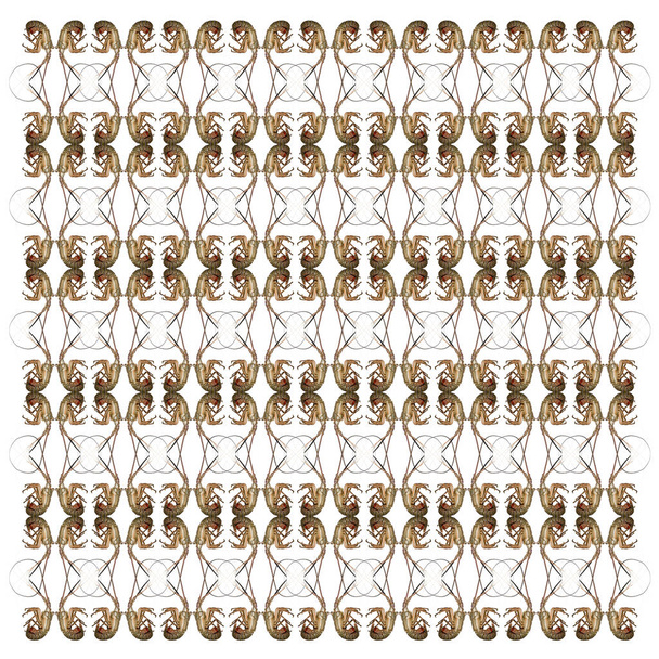 Langostas espinosas, Palinuridae, en patrón repetido, frente a fondo blanco
 - Foto, Imagen