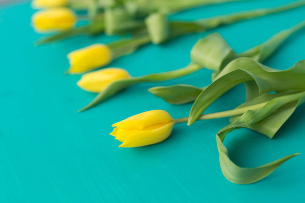 Floristics, holidays and decoration concept - Close-up of yellow tulips lying on blue background - Photo, Image