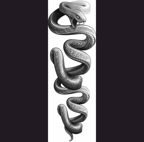 serpente vettoriale personaggio illustrazione
 - Vettoriali, immagini