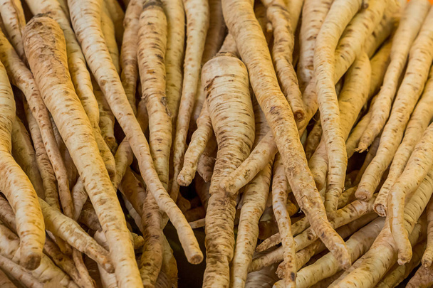 set of long beige root coriander many fruits base vegetable basis ingredients vegan soup healthy appetizer - Photo, Image
