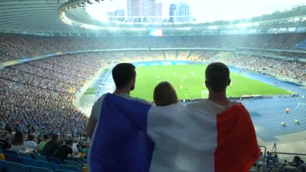 Football fans with French flag jumping at stadium, cheering for national team - Footage, Video