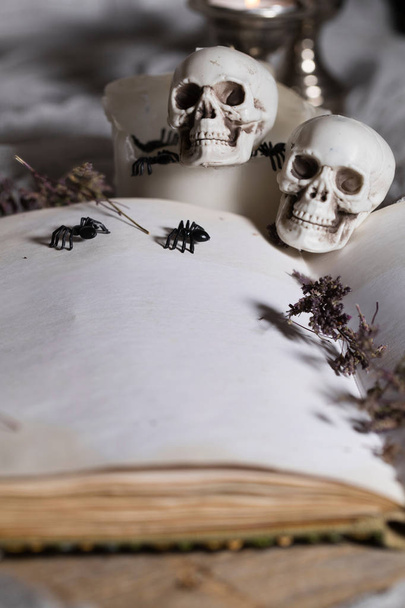 aufgeschlagenes Buch der Verzauberung mit Freiraum für einen Text. Verzauberungssymbole - Totenköpfe, Kräuter, Kerzen, Spinnen im Hintergrund. Graue Farben dominieren - Foto, Bild