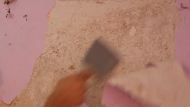 Elaggott rózsaszín tapéta a falon, otthon javítás. Ember, a régi tapéta peeling a különleges spatula. - Felvétel, videó