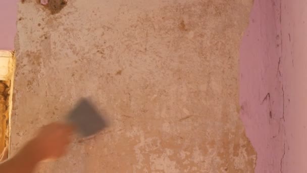 Décrépit papier peint rose sur un mur, réparation de la maison. Homme peeling vieux papier peint avec spatule spéciale
. - Séquence, vidéo