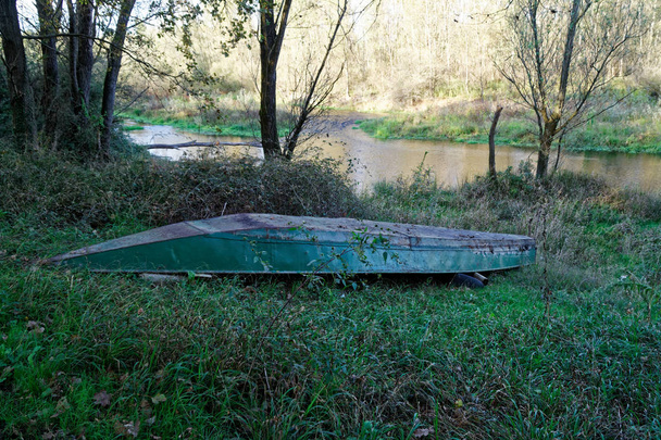 Boat in the reeds on river bank in forest - Photo, Image