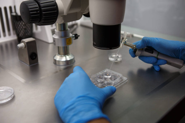 Het proces van kunstmatige inseminatie in IVF-kliniek. Handen doctor in de blauwe rubberen handschoenen chemische manipulatie in het laboratorium produceren met een Microscoop, buizen, stikstof - Foto, afbeelding