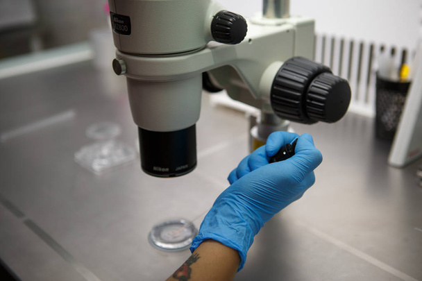 The process of artificial insemination in IVF clinic. Hands doctor in blue rubber gloves produce chemical manipulation in the laboratory with a microscope, tubes, nitrogen - Foto, afbeelding