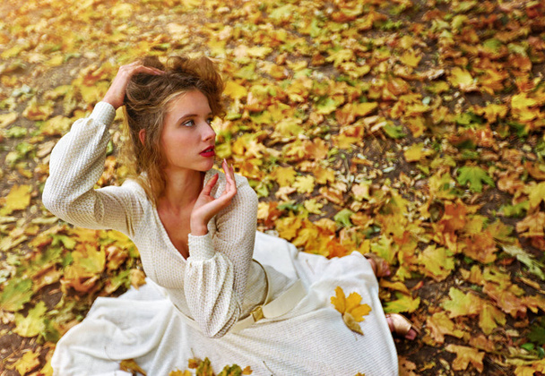 Осеннее платье женщина сидит осенью листья городской парк на открытом воздухе
. - Фото, изображение