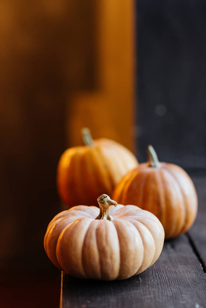 halloween pumpkin on wooden dark black background. - Photo, Image