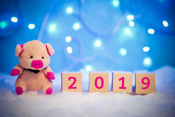 Christmas holiday picture with a little pig in the snow and 2019 new year on a blue background with lights - Photo, Image