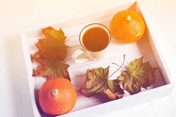 Cup of hot black tea and red pumpkins in the white wooden box with dry leaves. Halloween concept, autumn season. Top view - Foto, immagini