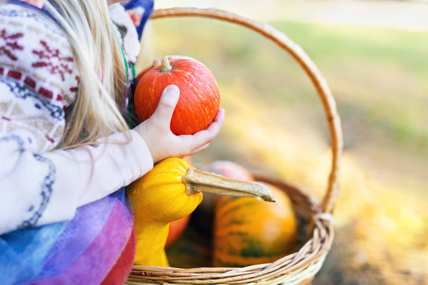 Close-up detail shot of a kid holding pumpkin in hands outdoors - Fotó, kép