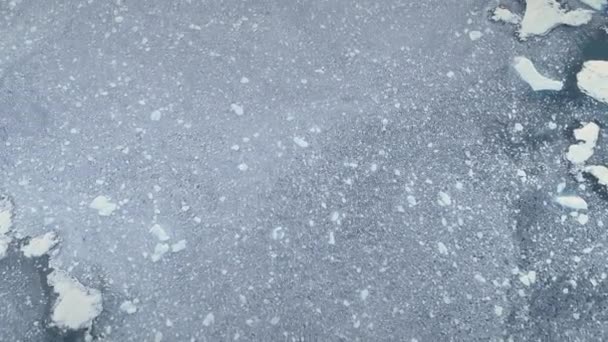 Granatowo-lód lodowców. Antarktyda antenowe drone widok lotu. Góry na dół przegląd lodu, polarny ocean pokryte śniegiem. Góry lodowe, kawałki lodu unoszące się w zimnej wodzie. nagrań 4 k. - Materiał filmowy, wideo