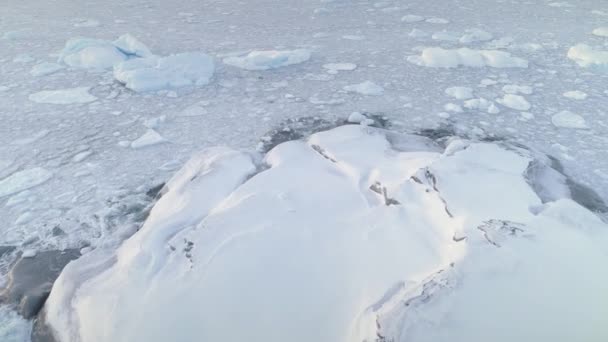Sneeuw bedekt land, ijs Oceaan. Antarctica schot. - Video