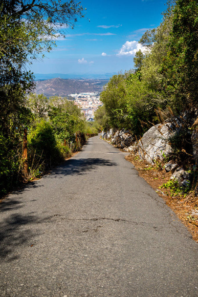 A road on the Rock of Gibraltar in the Upper Rock Nature reserve. Gibraltar is a British Overseas Territory located on the southern tip of Spain. - Fotó, kép