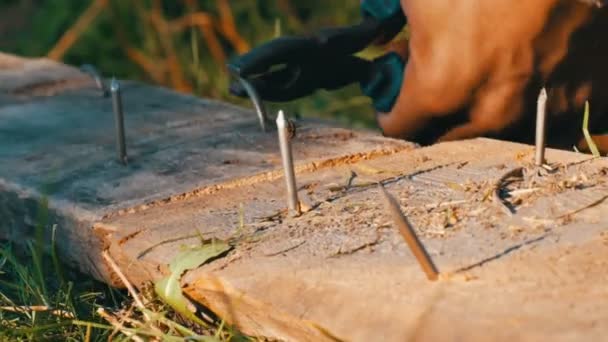 Homme plie des clous de fer avec des pinces sur une vieille planche
 - Séquence, vidéo