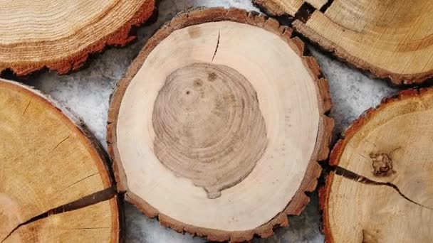 Éves, repedt, fából készült, kör alakú fa szakasz gyűrűk - Felvétel, videó