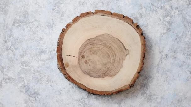 Leeftijd gebarsten houten boom sectie - Video