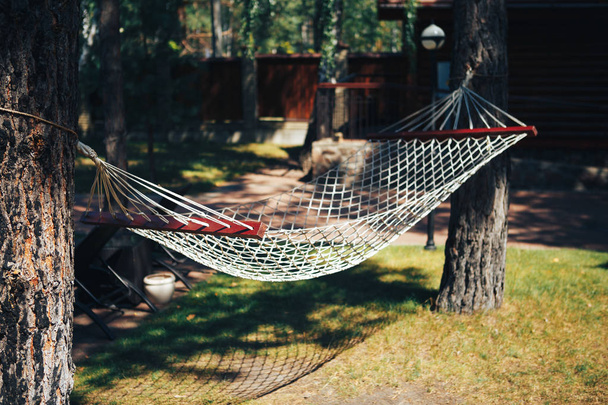 Hammock in forest. Hammock stretched between two trees in the forest - Photo, Image
