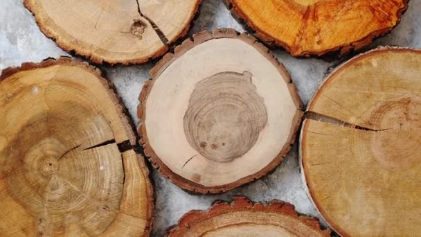 Éves, repedt, fából készült, kör alakú fa szakasz gyűrűk - Felvétel, videó