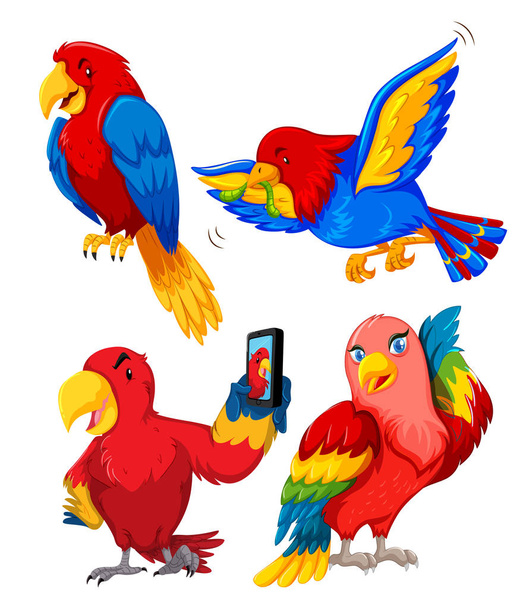 Reihe von Papageien Charakterdarstellung - Vektor, Bild