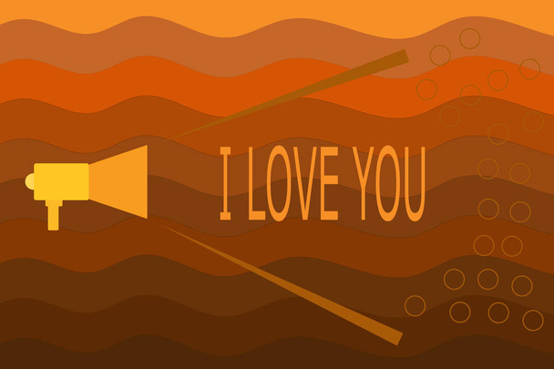 Znak textu zobrazeno I Love You. Konceptuální fotografie vyjadřování roanalysistic pocity někdo pozitivní emoce - Fotografie, Obrázek
