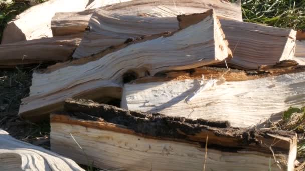 Zemin üzerinde kıyılmış yakacak odun yalan - Video, Çekim
