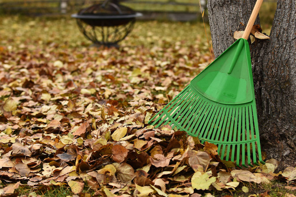Una imagen de un rastrillo de jardinería verde y hojas de otoño
.  - Foto, Imagen