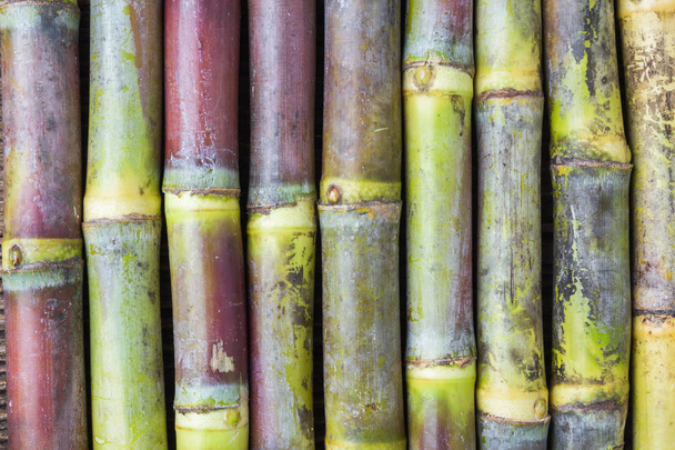 Εσωτερικη ζαχαροκάλαμου σε ξύλο φόντο εσωτερικη - Φωτογραφία, εικόνα