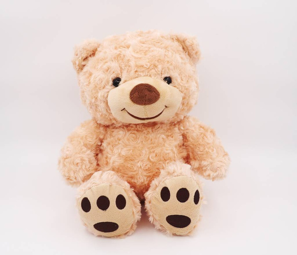 TEDDY BEAR на білому тлі
 - Фото, зображення