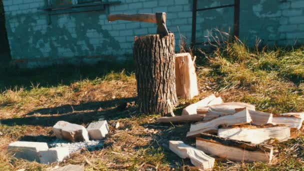 Wieś stoczni, siekierą w pniu drzewa, posiekane drewno opałowe rozproszone - Materiał filmowy, wideo
