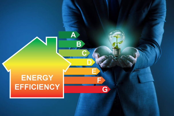 Imprenditore nel concetto di efficienza energetica - Foto, immagini