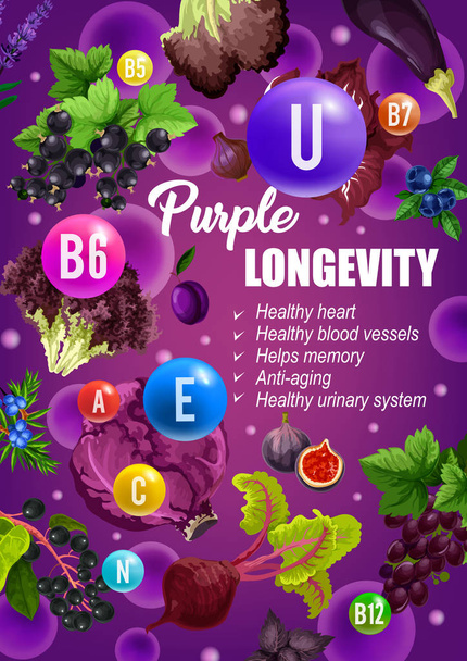 Purple diet longevity vitamins food nutrition - Vector, Image