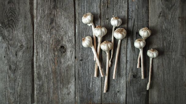 Bunch of dry garlic heads on grey wooden background - Φωτογραφία, εικόνα
