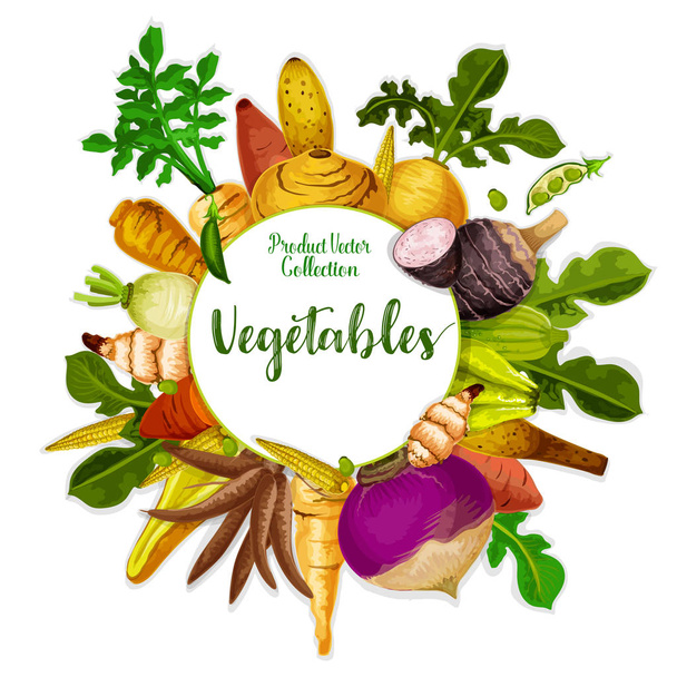 Vegetables and veggie tuber roots, harvest - Vector, Image