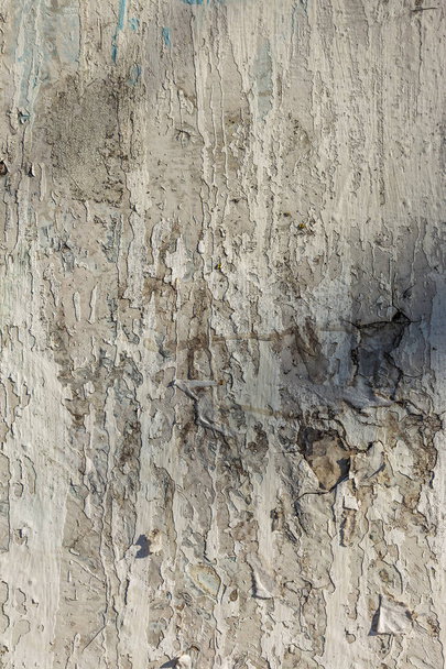 Cracked concrete texture background. Grey surface with cracks close up. Lot of pieces of splintered plaster. Abstract concept of split, dissent, disagreement, discord. Sunny day with shadows - 写真・画像