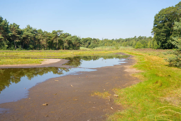 Сушка европейского природного озера в летний сезон
 - Фото, изображение