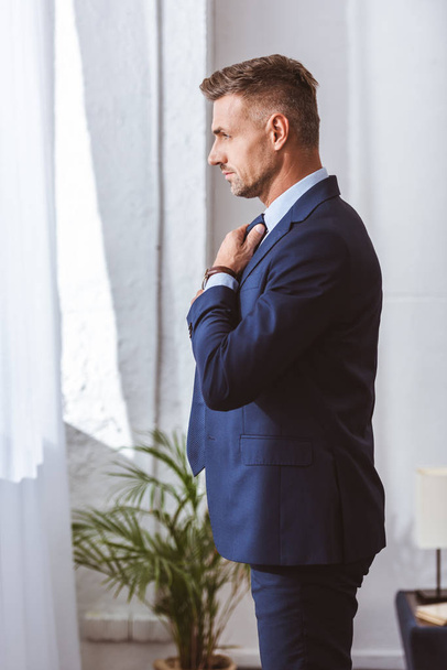 side view of handsome man in suit wearing necktie and looking away at home   - Foto, afbeelding