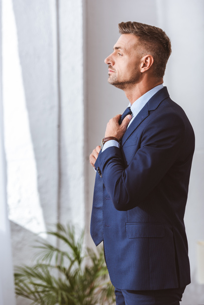 side view of handsome man in formal wear wearing necktie and looking away at home   - Photo, Image