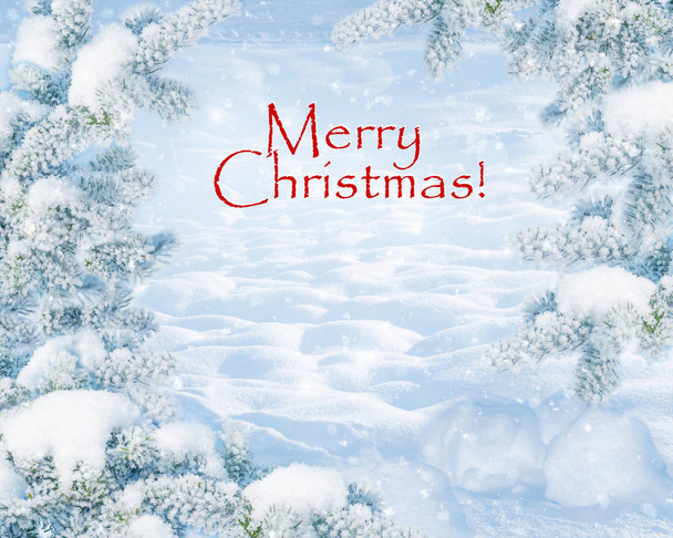 Winter Christmas scenic landscape on frosty sunny day with fir-trees covered with white snow close-up and snowdrifts. Snowy backdrop in forest on nature outdoors, with inscription "Merry Christmas!", toned in blue - Photo, image