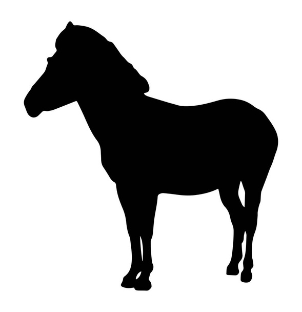 Silhouette Of A Horse Standing On White Background - Вектор,изображение