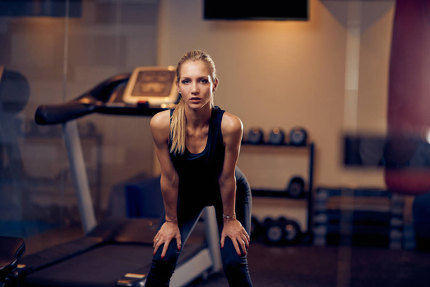 Woman posing in gym. Healthy lifestyle concept. - 写真・画像