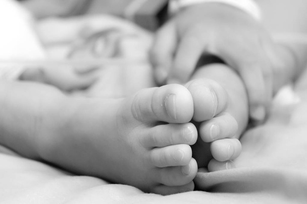 close-up of baby feet. focused on foot. - Foto, Imagem