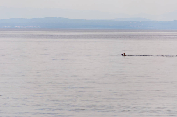 Człowiek został pływanie wzdłuż wybrzeża w wodach Adriatyku. Doskonałym przykładem zdrowego stylu życia. - Zdjęcie, obraz