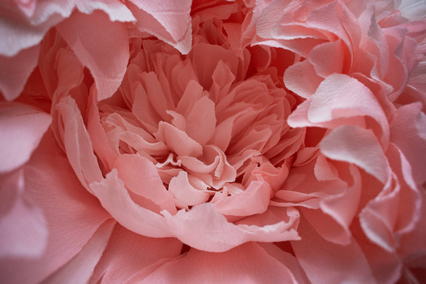 Close-up, decorative artificial flower from paper.The decor of the party - Foto, Imagem