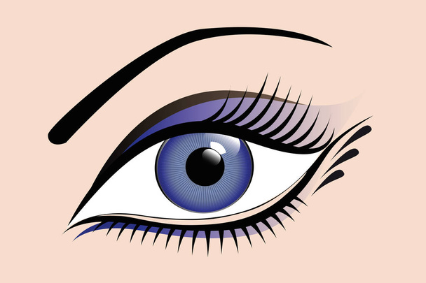 hermoso ojo azul para mujer
 - Vector, Imagen
