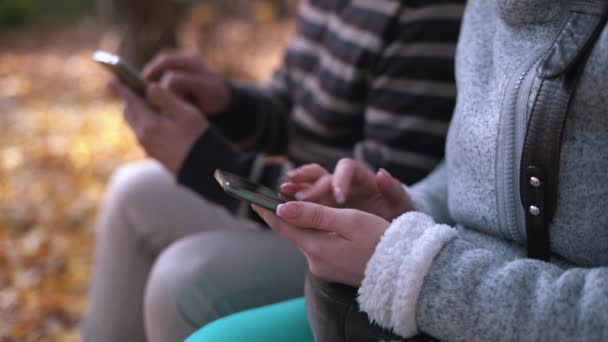 Young male and woman use phone in the autumn park sitting on a bench. Focus on the girl hands - Metraje, vídeo